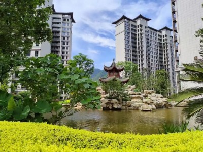 红火过新年，好房实力热销28套！温暖置业等您回家!