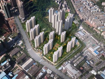 8月家书|叶动秋声，家颜展新