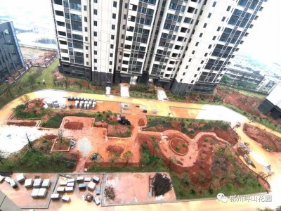 畔山花园9月家书|时光悠然，家音传颂