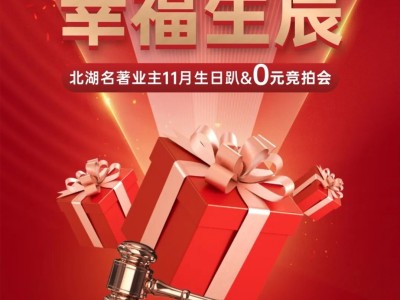 北湖名著双十一放肆狂欢，业主生日会、0元竞拍、全面封顶享钜惠......