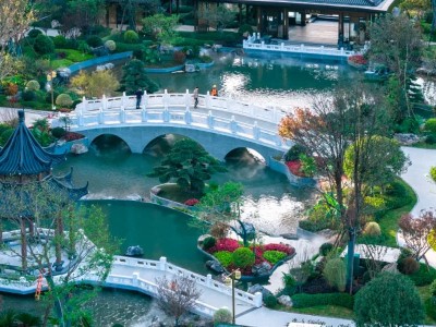 ​美好生活楼下见 | 正和圆沉浸式全龄园林，为什么人人向往？