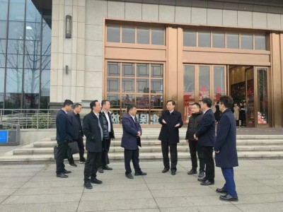 苏仙区委书记吴文明带队莅临湖南建投东玺台，开展“四下基层”暨服务企业服务项目大走访活动